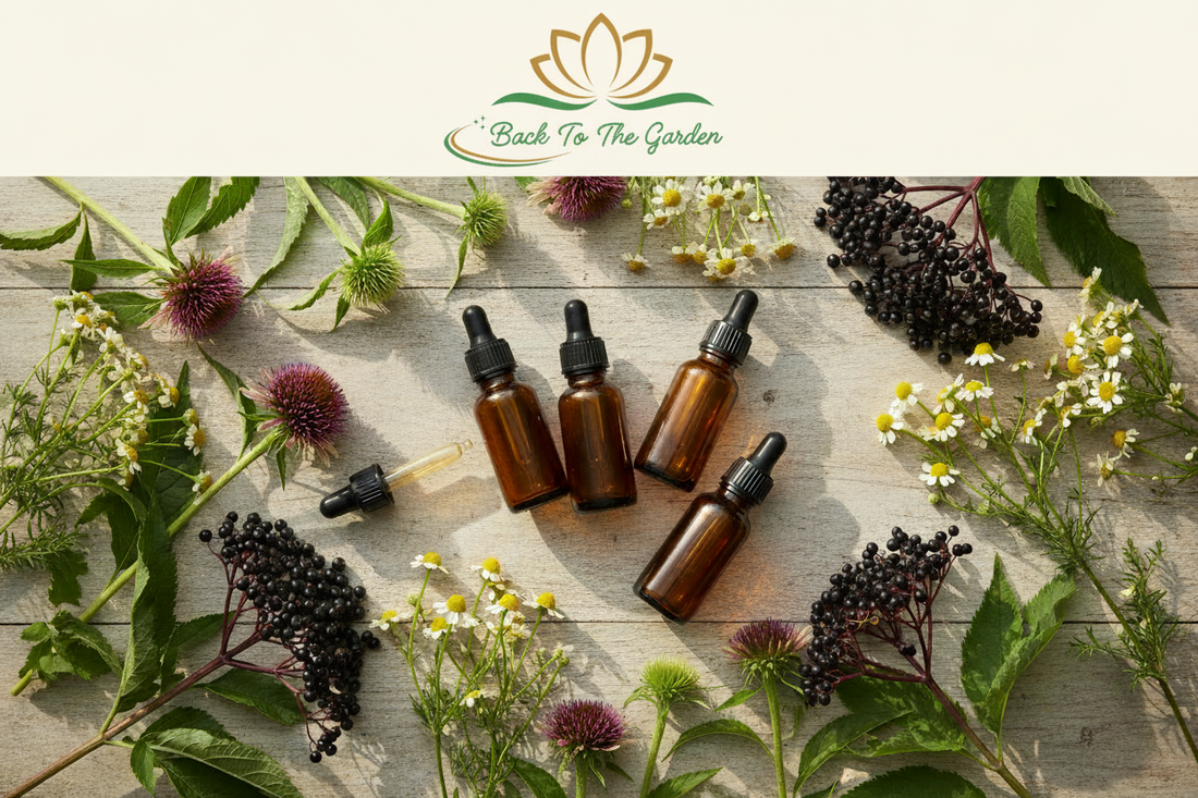 Why Our Glycerites & Tinctures Stand Apart