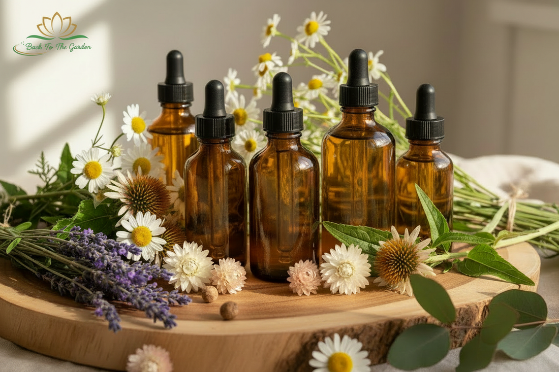 The Powerful Health Benefits of Tinctures and Glycerites: Why Quality Matters