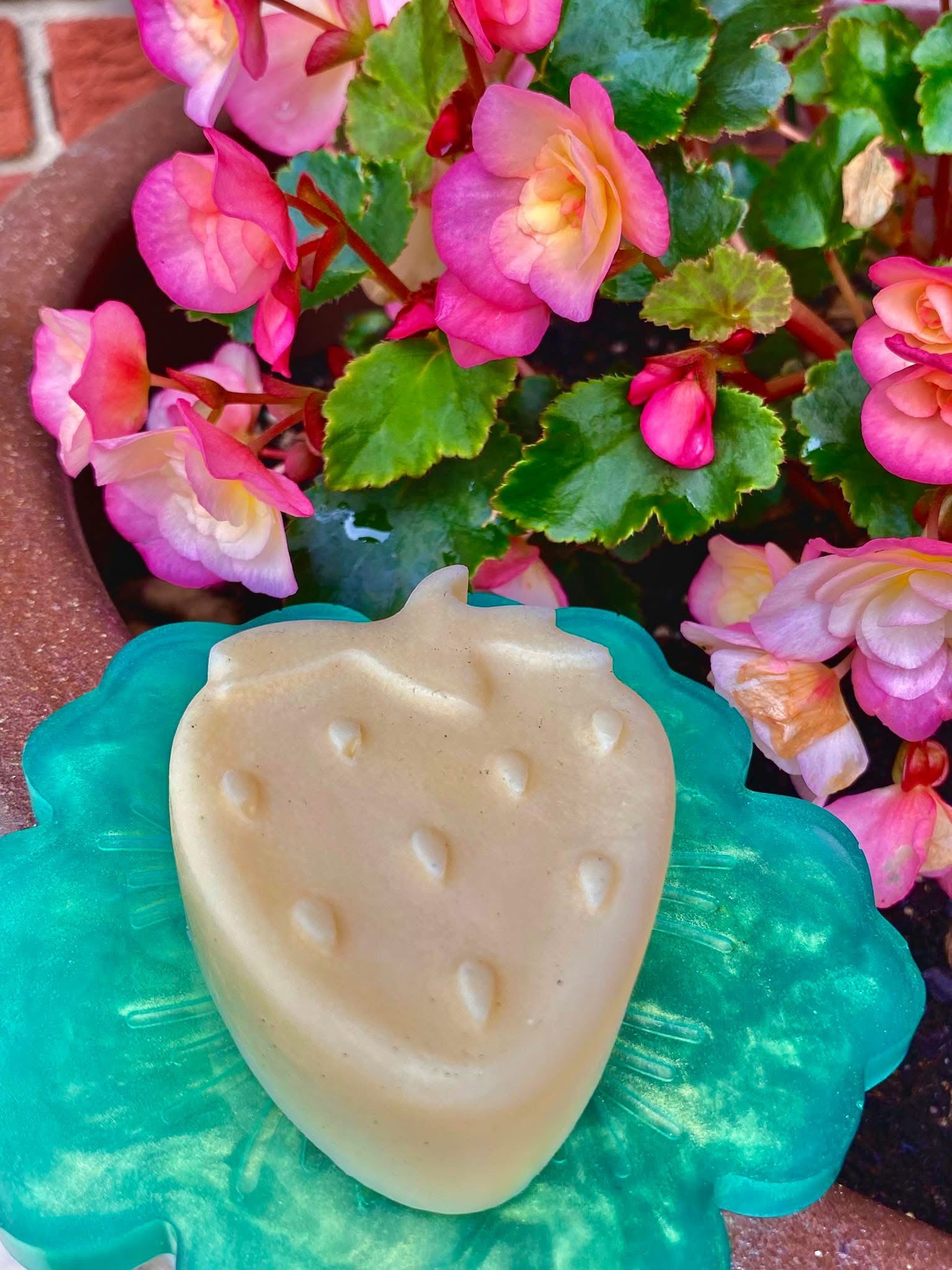 Cocoa Vetiver Solid Lotion Bar