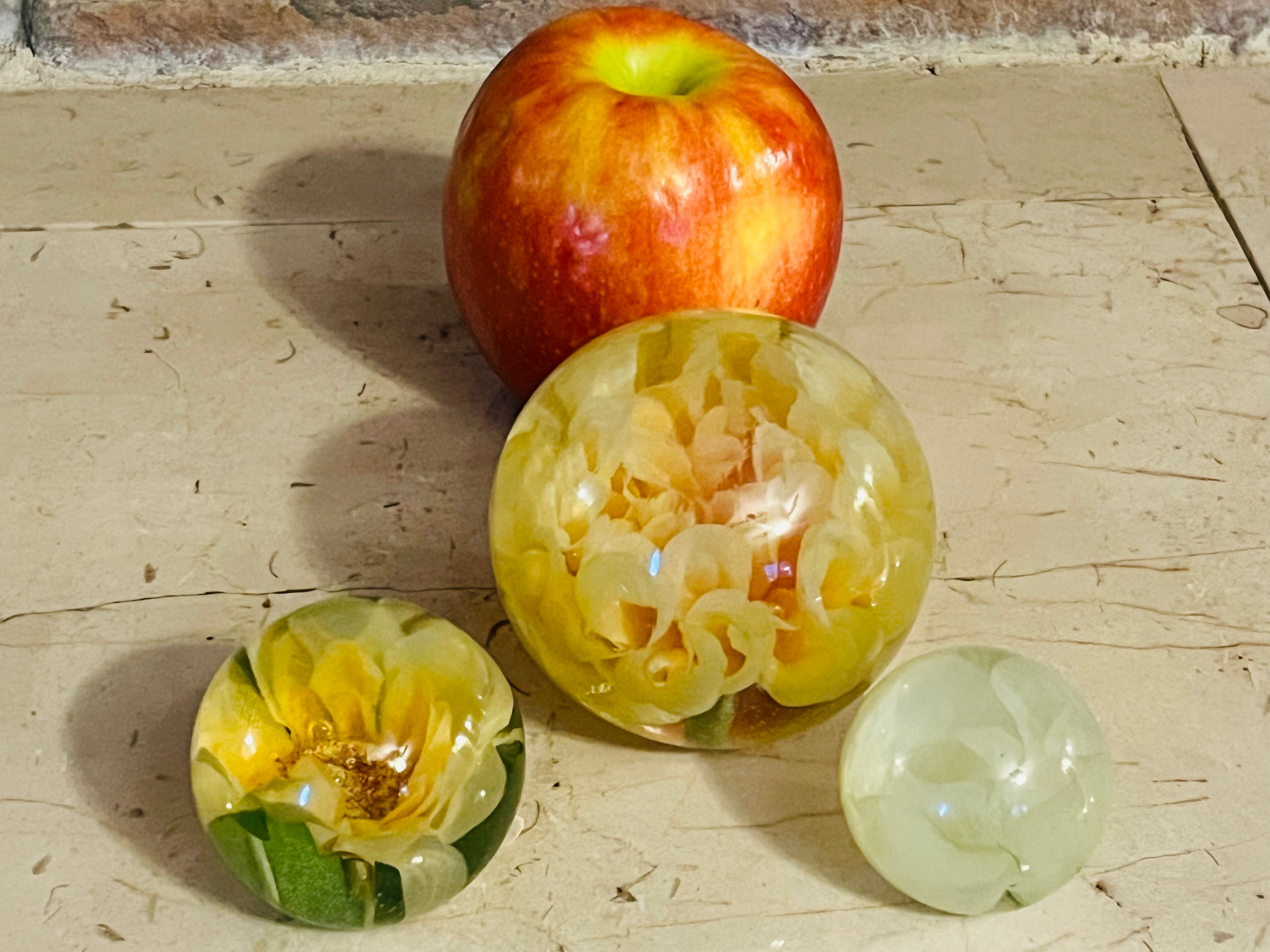 Pressed Petals Acrylic Paperweight Collection - Judah Wellness Exclusive