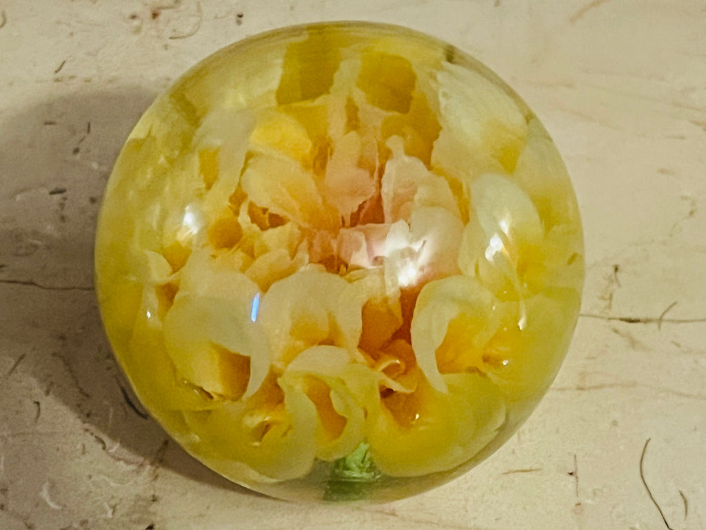 Pressed Petals Acrylic Paperweight Collection - Judah Wellness Exclusive