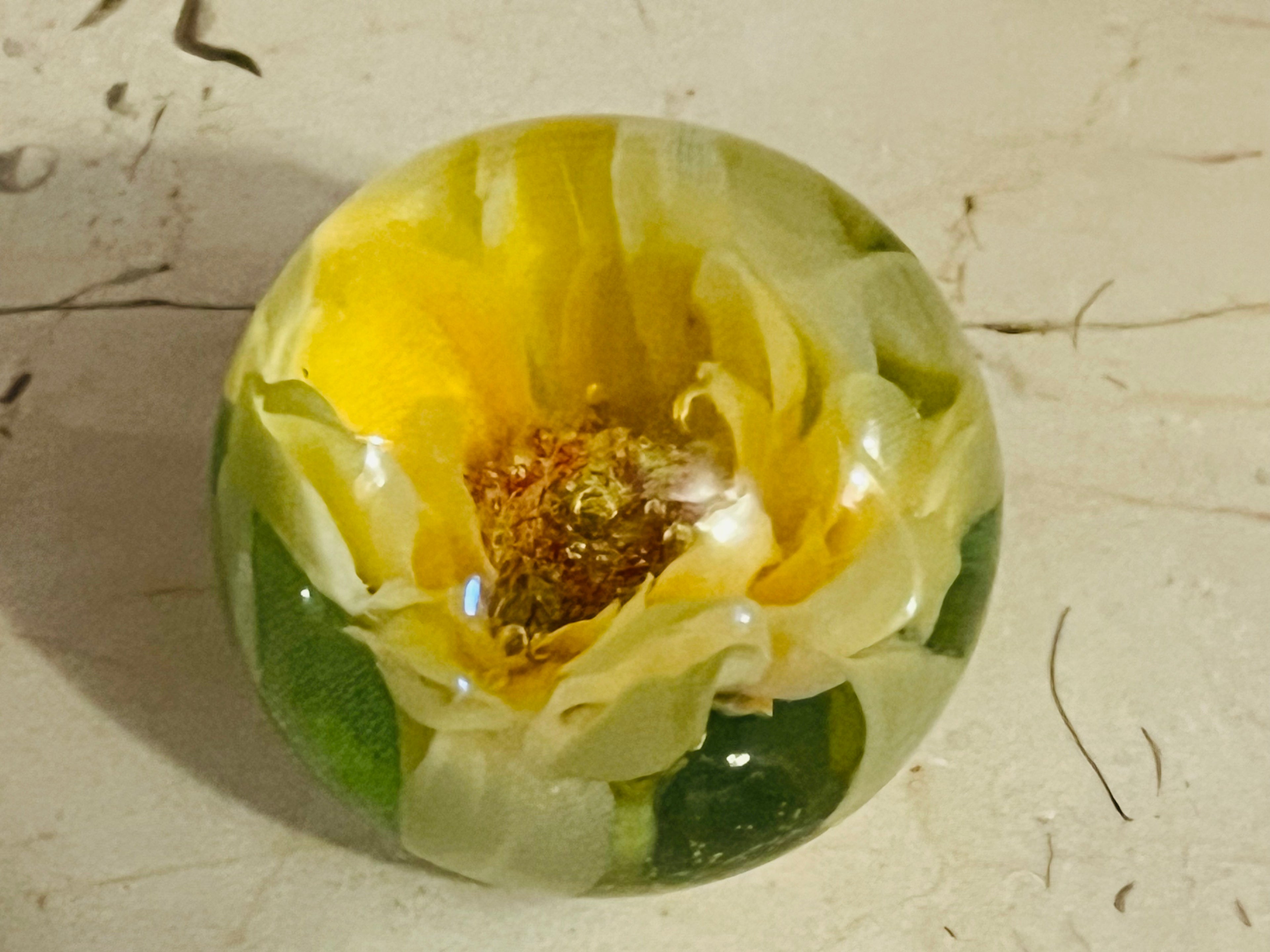 Pressed Petals Acrylic Paperweight Collection - Judah Wellness Exclusive