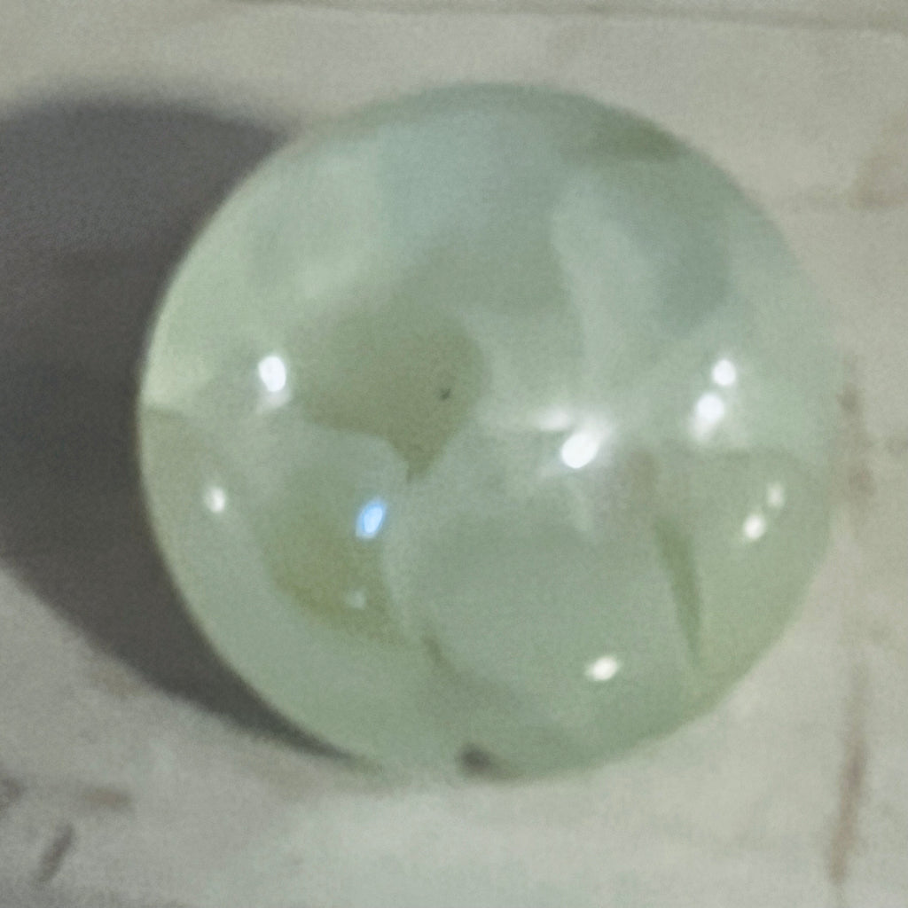 Pressed Petals Acrylic Paperweight Collection - Judah Wellness Exclusive