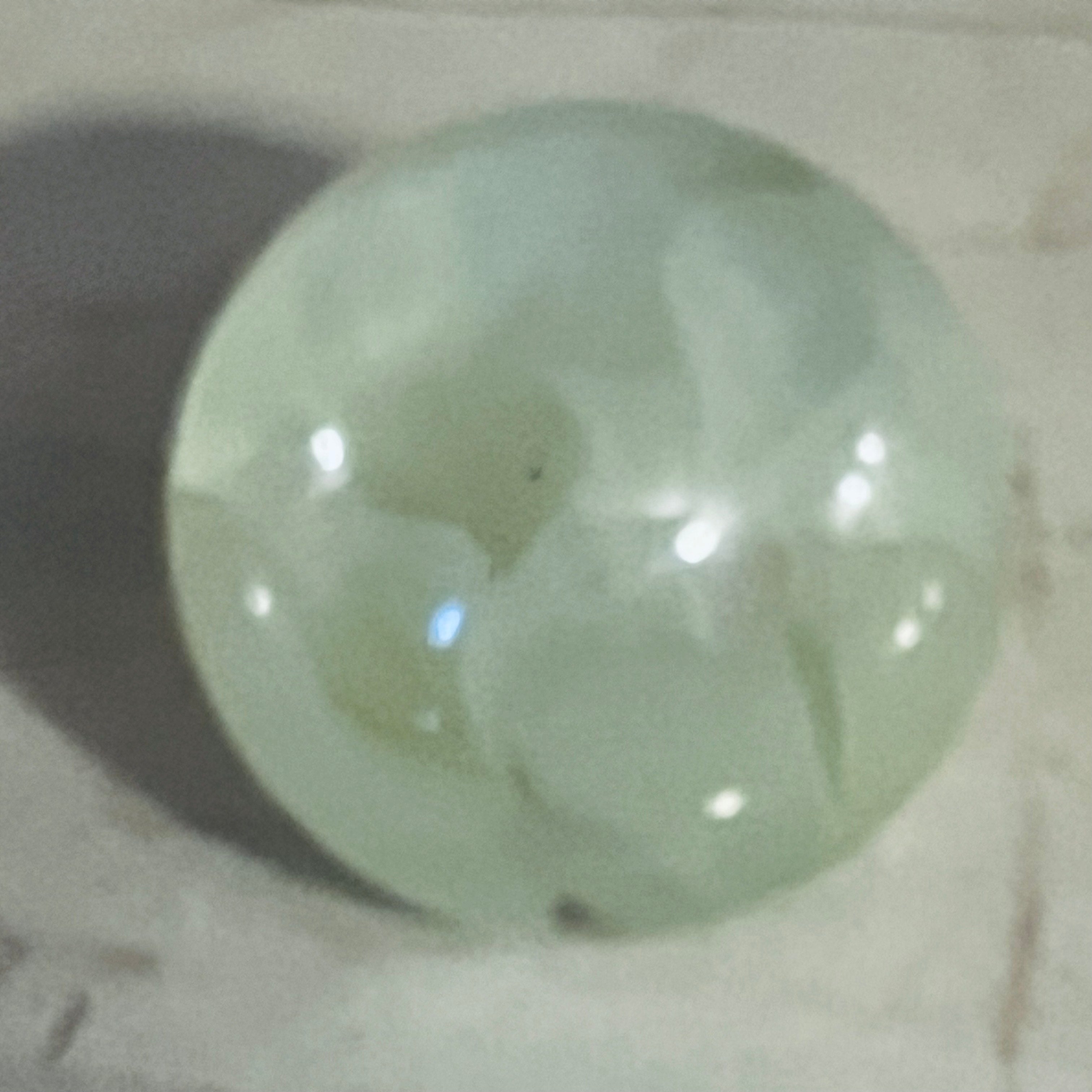 Pressed Petals Acrylic Paperweight Collection - Judah Wellness Exclusive