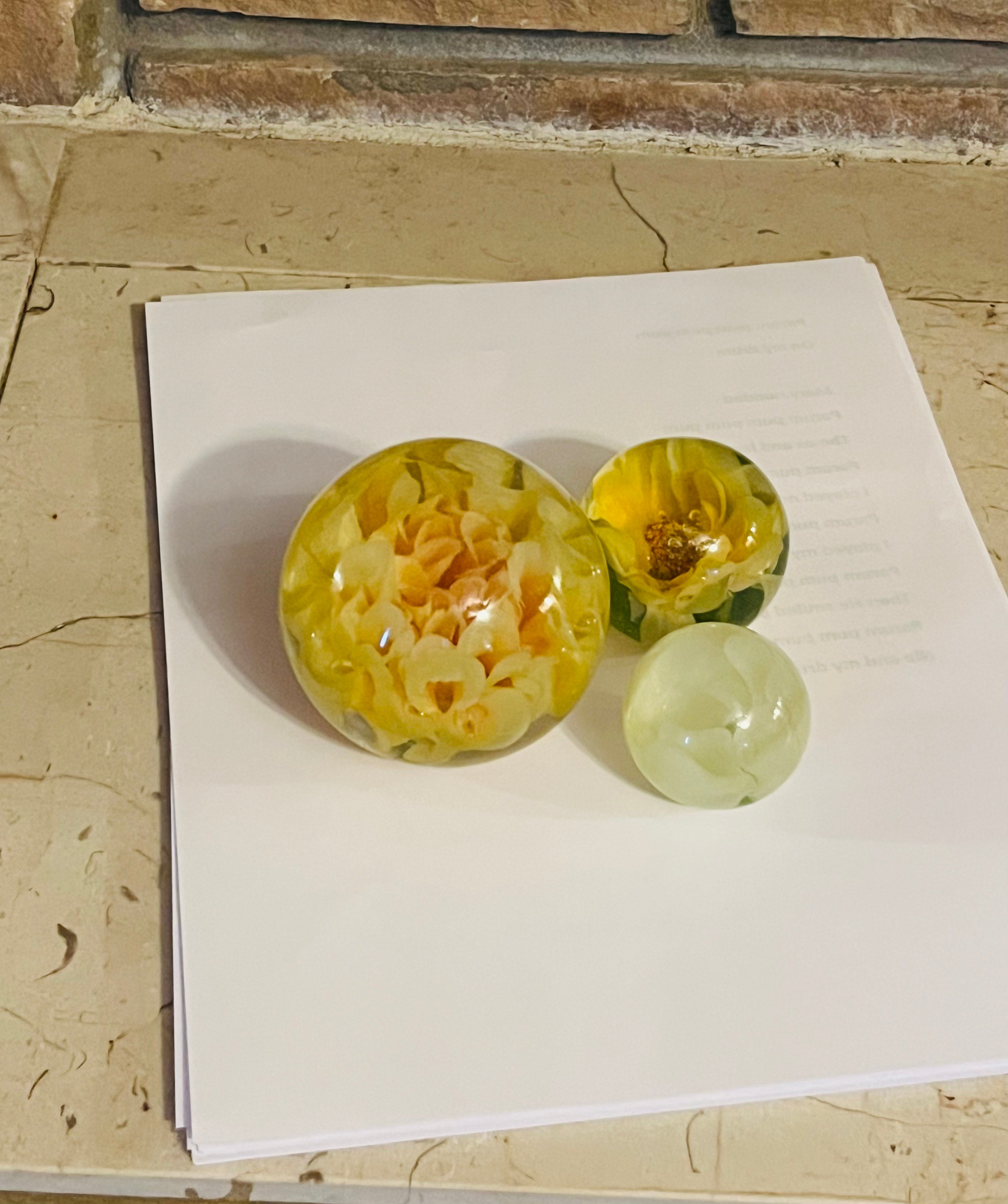 Pressed Petals Acrylic Paperweight Collection - Judah Wellness Exclusive
