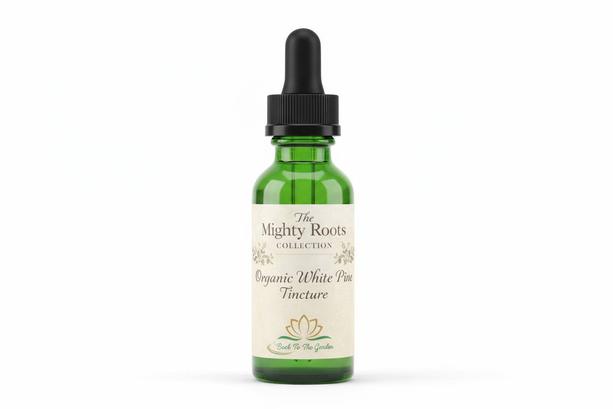 Organic White Pine Tincture